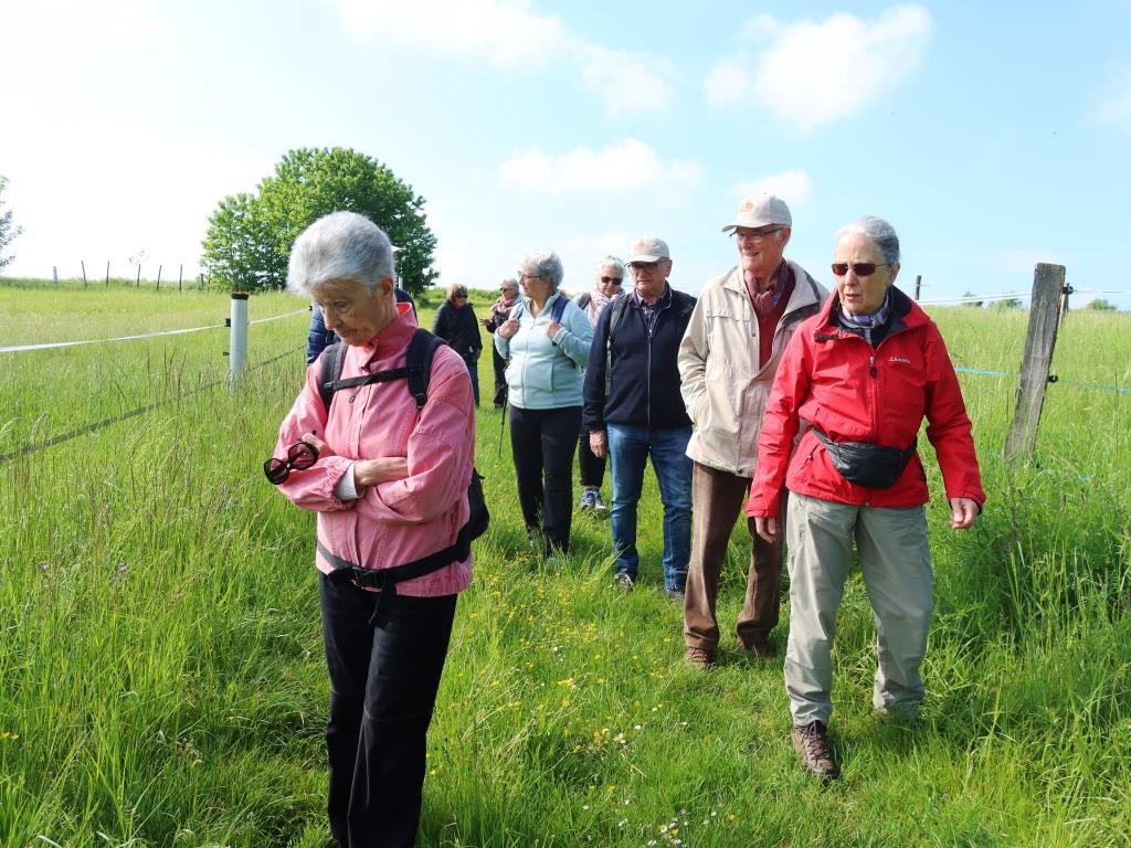 Sentier des croix rurales Saessolsheim
