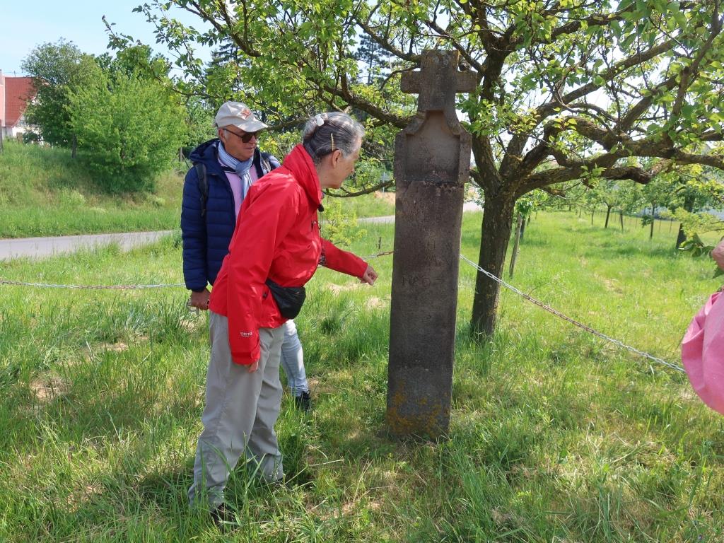 Sentier des croix rurales Saessolsheim