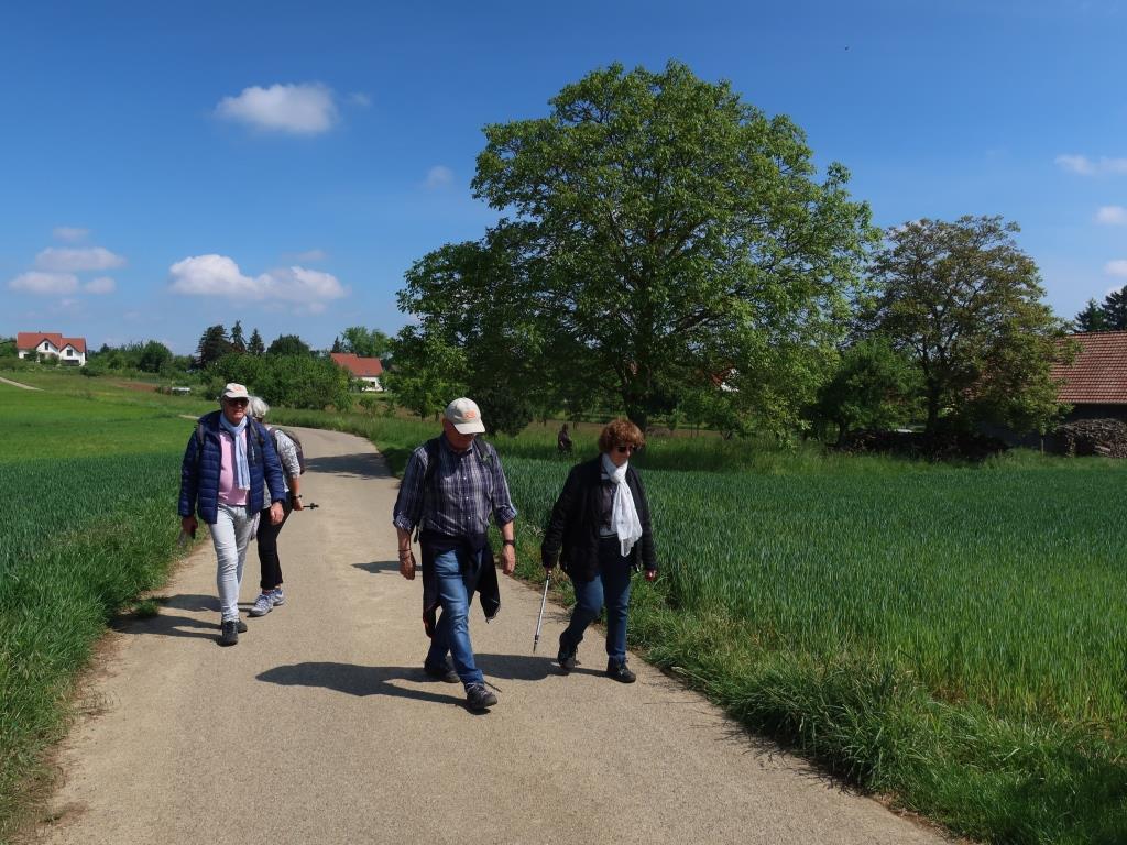 Sentier des croix rurales Saessolsheim