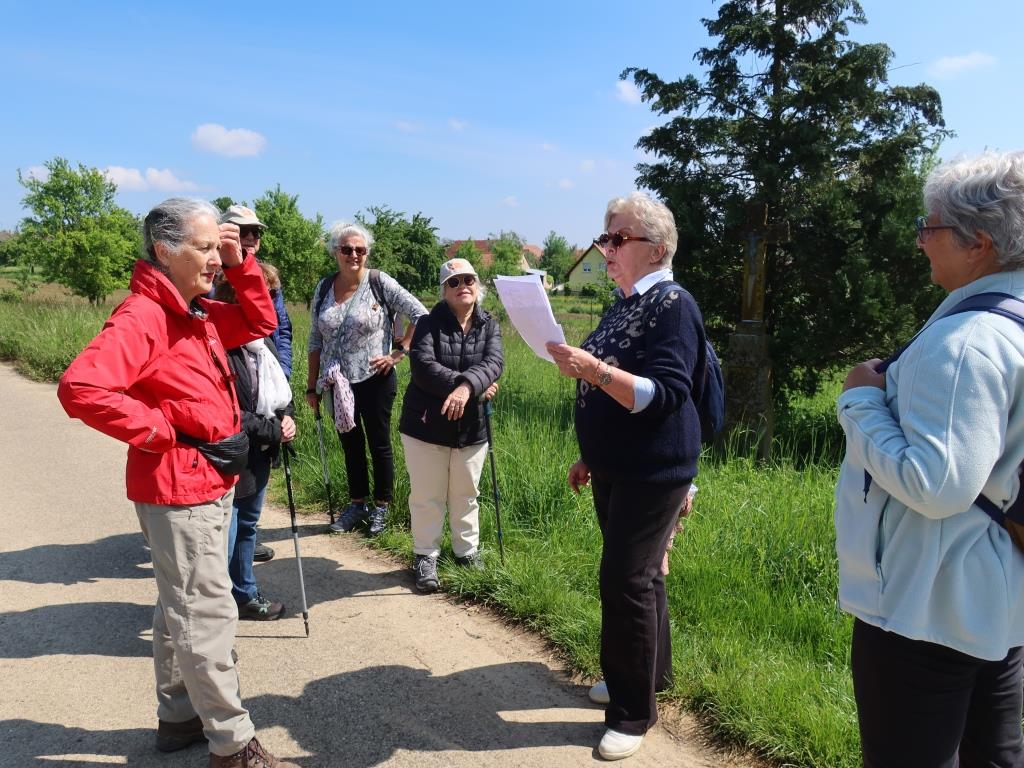 Sentier des croix rurales Saessolsheim